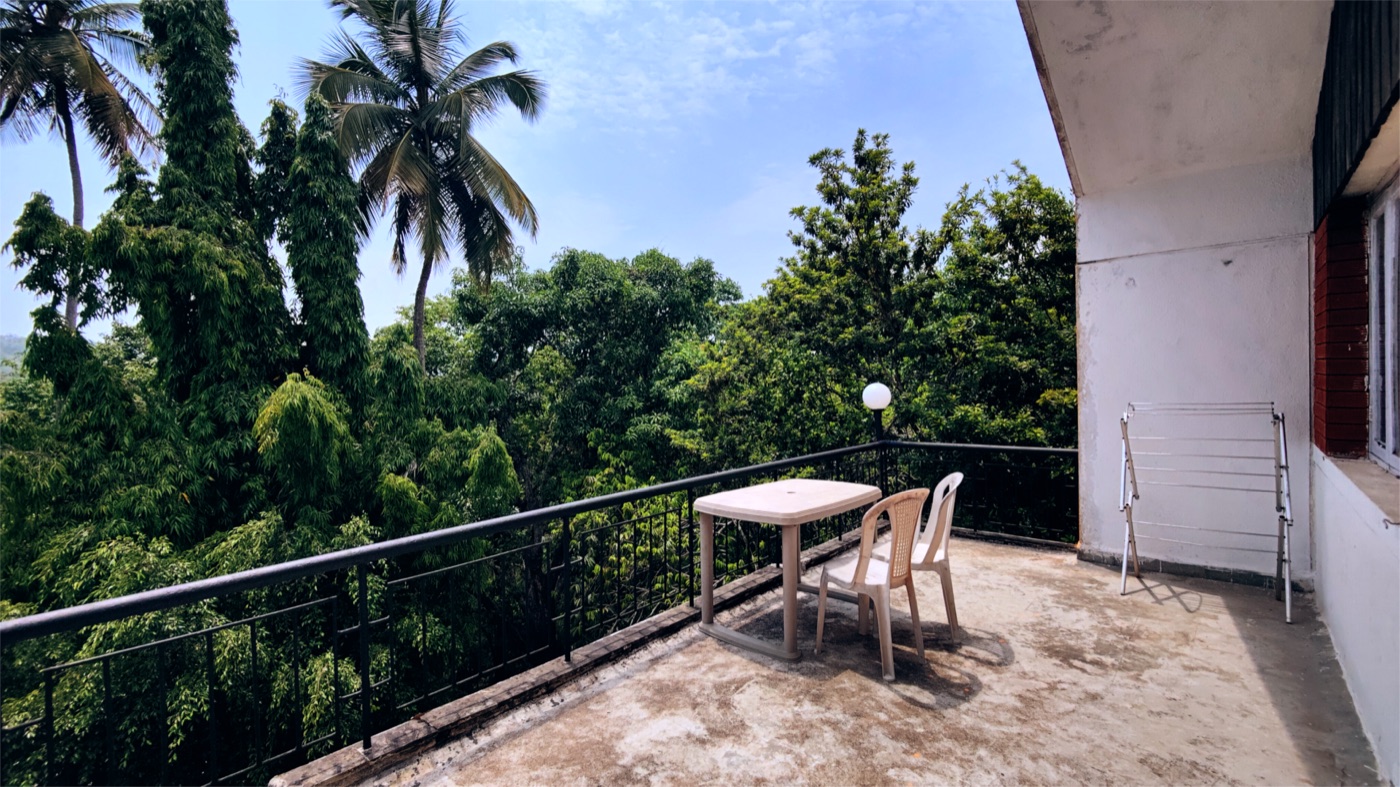 Honeymoon at Big the Bungalow