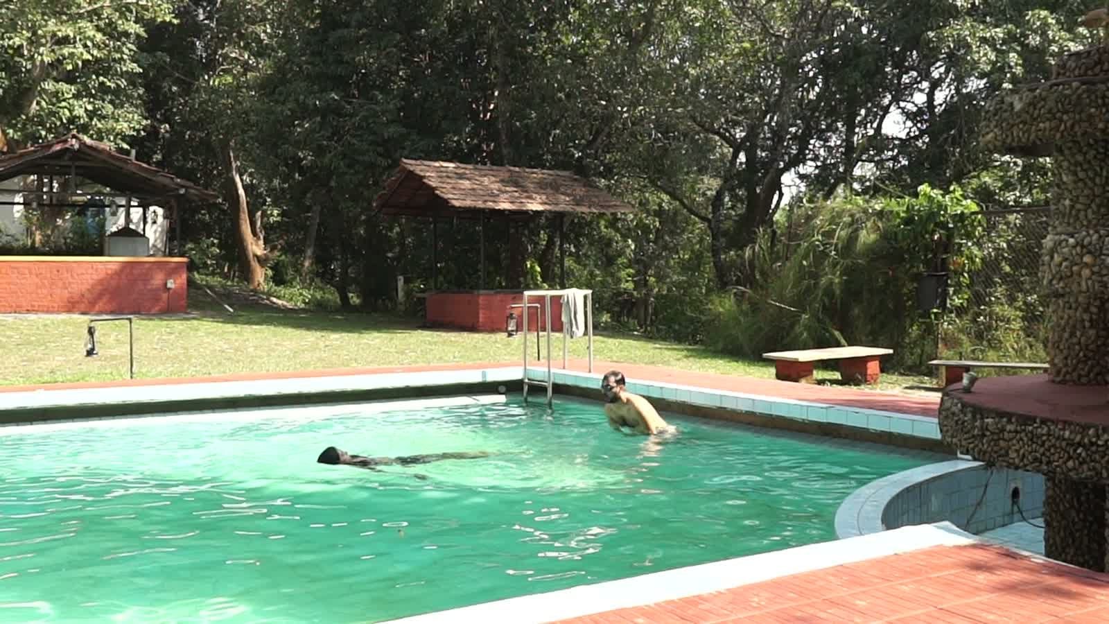 The Pool