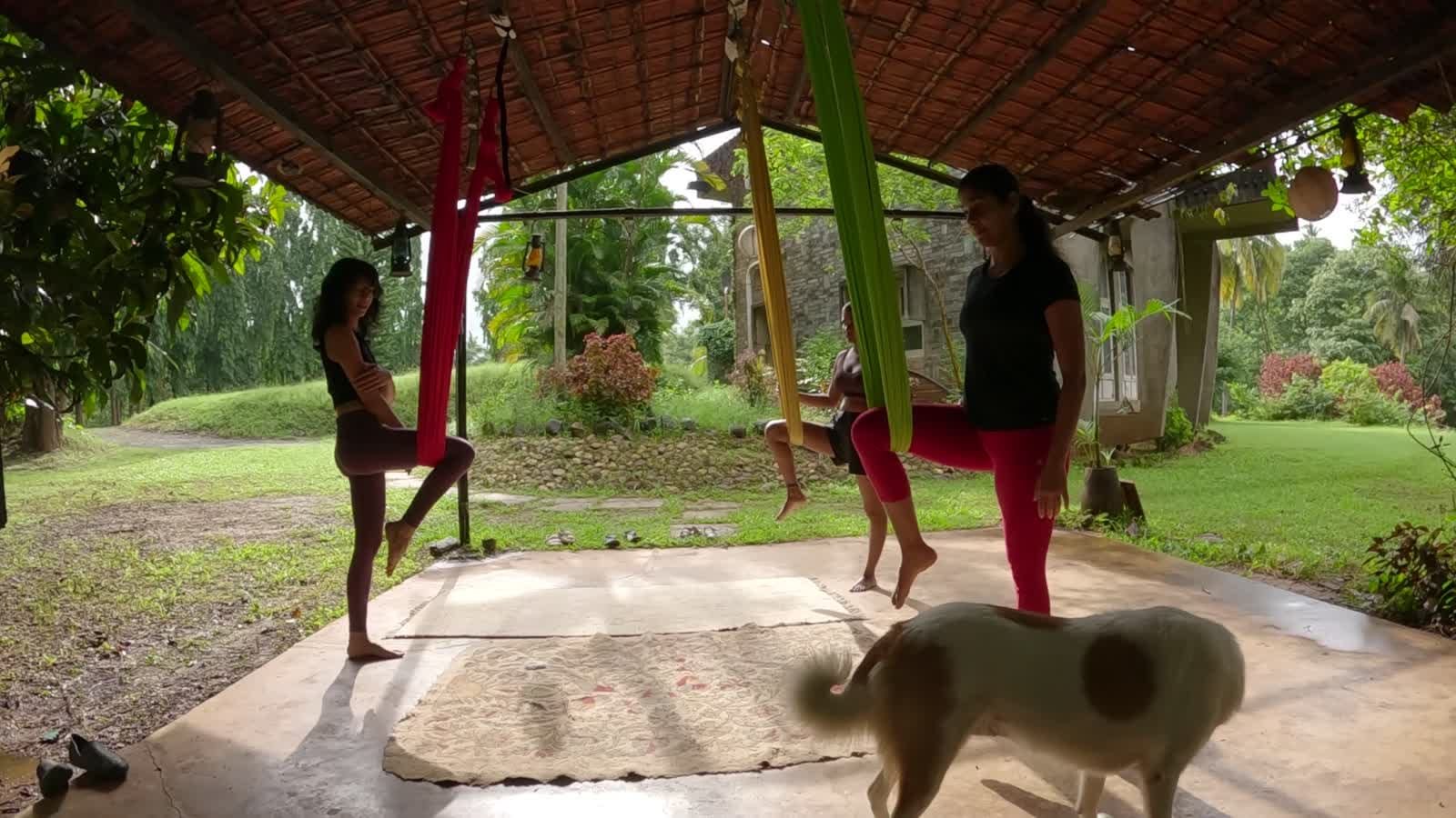 Yoga