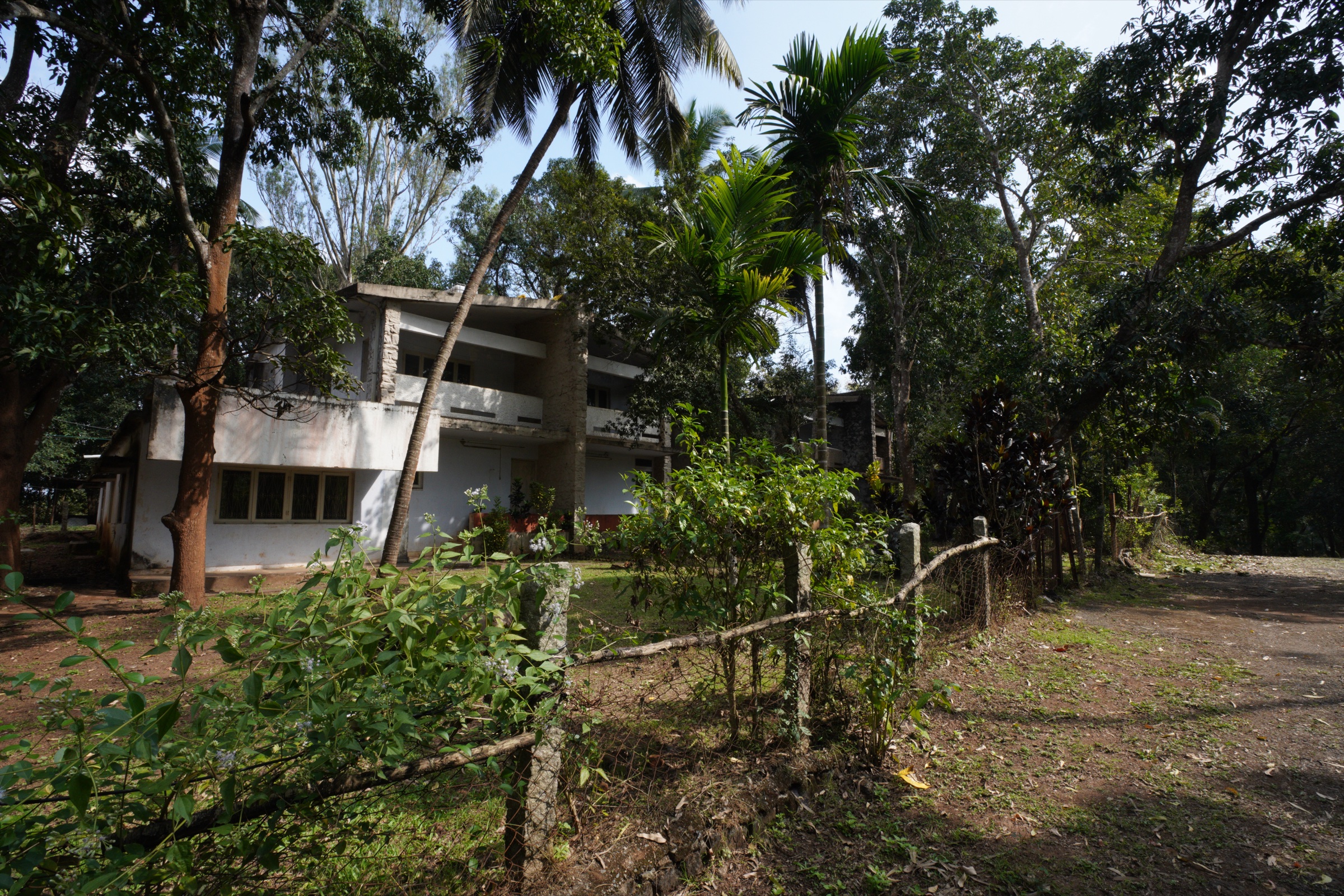 A Jungli villa